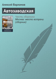 бесплатно читать книгу Автозаводская автора Алексей Варламов