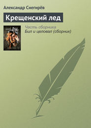 бесплатно читать книгу Крещенский лед автора Александр Снегирёв