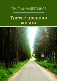 бесплатно читать книгу Третье правило жизни автора Ренат Аймалетдинов