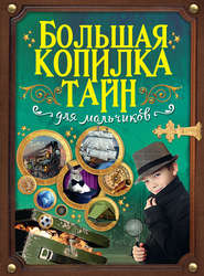 бесплатно читать книгу Большая копилка тайн для мальчиков автора Виктория Ригарович
