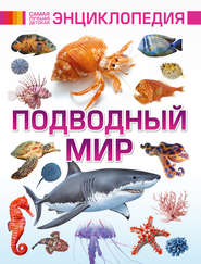 бесплатно читать книгу Подводный мир автора Виктория Ригарович