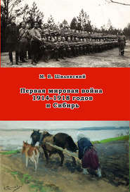 бесплатно читать книгу Первая мировая война 1914–1918 годов и Сибирь автора Михаил Шиловский
