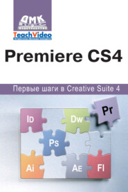 бесплатно читать книгу Adobe Premiere СS4. Первые шаги в Creative Suite 4 автора А. Мишенев