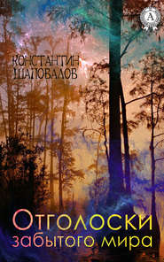 бесплатно читать книгу Отголоски забытого мира автора Константин Шаповалов