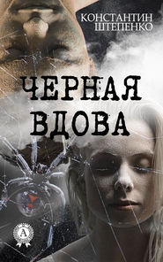 бесплатно читать книгу Черная Вдова автора Константин Штепенко