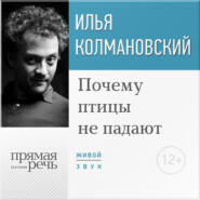 бесплатно читать книгу Лекция «Почему птицы не падают» автора Илья Колмановский