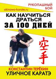 бесплатно читать книгу Уличное каратэ. Как научиться драться за 100 дней автора Константин Терёхин