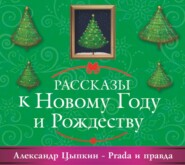 бесплатно читать книгу Prada и правда автора Александр Цыпкин