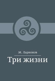 бесплатно читать книгу Три жизни (сборник) автора М. Ларионов