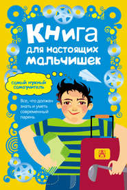 бесплатно читать книгу Книга для настоящих мальчишек автора Мартин Оливер
