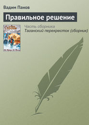 бесплатно читать книгу Правильное решение автора Вадим Панов