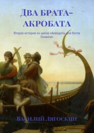 бесплатно читать книгу Два брата-акробата. Вторая история из цикла «Анекдоты для богов Олимпа» автора Василий Лягоскин