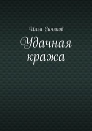 бесплатно читать книгу Удачная кража автора Илья Синяков