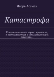 бесплатно читать книгу Катастрофа автора Игорь Ассман