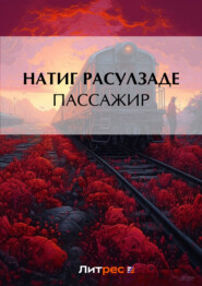 бесплатно читать книгу Пассажир автора Натиг Расулзаде