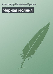 бесплатно читать книгу Черная молния автора Александр Куприн