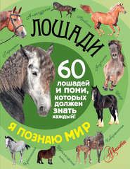 бесплатно читать книгу Лошади. 60 лошадей и пони, которых должен знать каждый! автора Фёдор Келлер