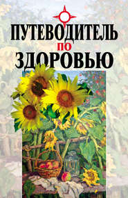 бесплатно читать книгу Путеводитель по здоровью автора Вячеслав Мельников
