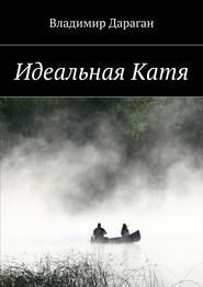 бесплатно читать книгу Идеальная Катя автора Владимир Дараган