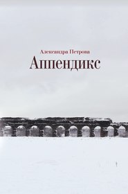 бесплатно читать книгу Аппендикс автора Александра Петрова