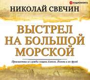 бесплатно читать книгу Выстрел на Большой Морской автора Николай Свечин