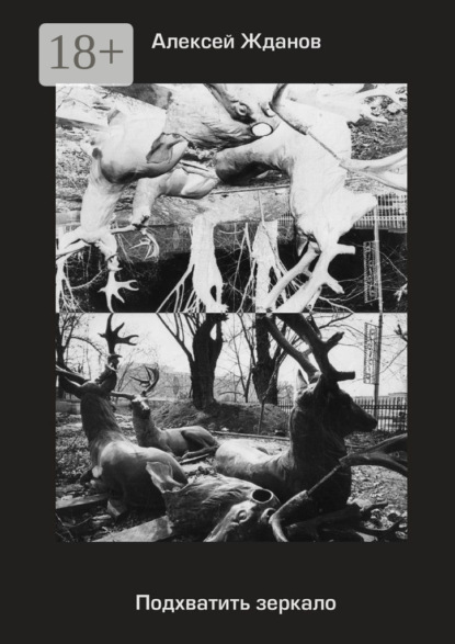 Подхватить зеркало. Роман с самим собой