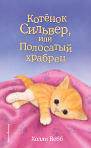 бесплатно читать книгу Котёнок Сильвер, или Полосатый храбрец автора Холли Вебб
