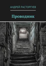 бесплатно читать книгу Проводник автора Андрей Расторгуев
