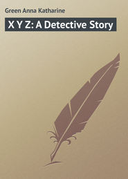 бесплатно читать книгу X Y Z: A Detective Story автора Anna Green