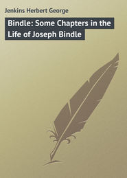 бесплатно читать книгу Bindle: Some Chapters in the Life of Joseph Bindle автора Herbert Jenkins