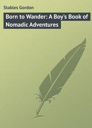 бесплатно читать книгу Born to Wander: A Boy's Book of Nomadic Adventures автора Gordon Stables