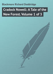 бесплатно читать книгу Cradock Nowell: A Tale of the New Forest. Volume 1 of 3 автора Richard Blackmore