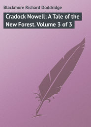 бесплатно читать книгу Cradock Nowell: A Tale of the New Forest. Volume 3 of 3 автора Richard Blackmore