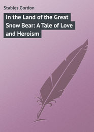 бесплатно читать книгу In the Land of the Great Snow Bear: A Tale of Love and Heroism автора Gordon Stables
