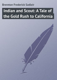 бесплатно читать книгу Indian and Scout: A Tale of the Gold Rush to California автора Frederick Brereton