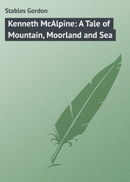 бесплатно читать книгу Kenneth McAlpine: A Tale of Mountain, Moorland and Sea автора Gordon Stables