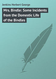 бесплатно читать книгу Mrs. Bindle: Some Incidents from the Domestic Life of the Bindles автора Herbert Jenkins