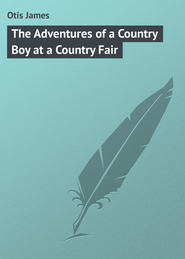 бесплатно читать книгу The Adventures of a Country Boy at a Country Fair автора James Otis