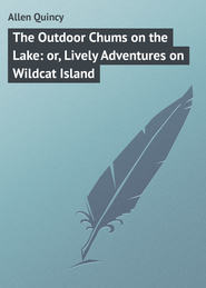 бесплатно читать книгу The Outdoor Chums on the Lake: or, Lively Adventures on Wildcat Island автора Quincy Allen