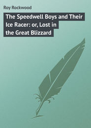 бесплатно читать книгу The Speedwell Boys and Their Ice Racer: or, Lost in the Great Blizzard автора Roy Rockwood