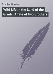 бесплатно читать книгу Wild Life in the Land of the Giants: A Tale of Two Brothers автора Gordon Stables