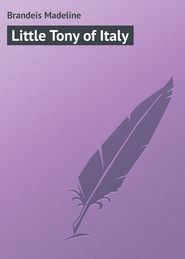 бесплатно читать книгу Little Tony of Italy автора Madeline Brandeis