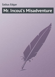 бесплатно читать книгу Mr. Incoul's Misadventure автора Edgar Saltus