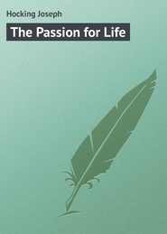 бесплатно читать книгу The Passion for Life автора Joseph Hocking