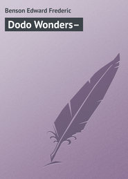 бесплатно читать книгу Dodo Wonders– автора Edward Benson