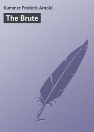 бесплатно читать книгу The Brute автора Frederic Kummer