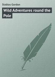 бесплатно читать книгу Wild Adventures round the Pole автора Gordon Stables