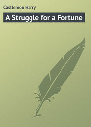 бесплатно читать книгу A Struggle for a Fortune автора Harry Castlemon