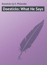 бесплатно читать книгу Doesticks: What He Says автора Philander Doesticks