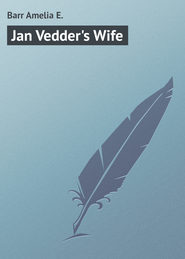 бесплатно читать книгу Jan Vedder's Wife автора Amelia Barr